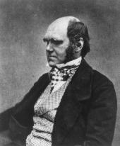 Charles Darwin - 1858
