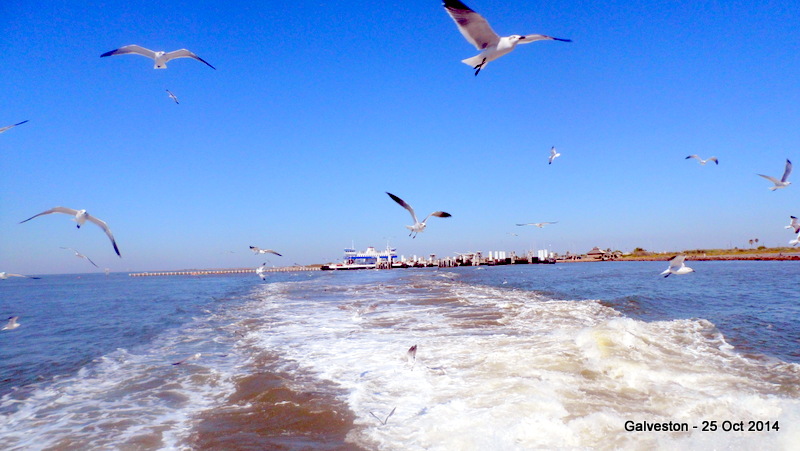 Ferry to Bolivar Island