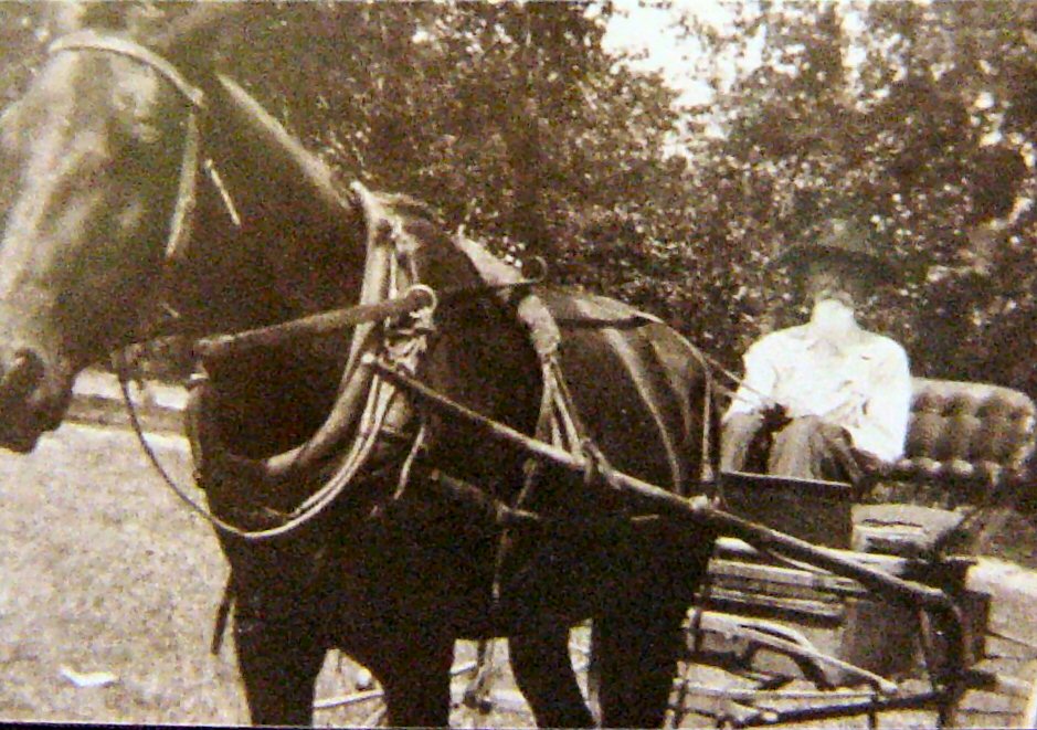 John Blackledge in buggy - 1920