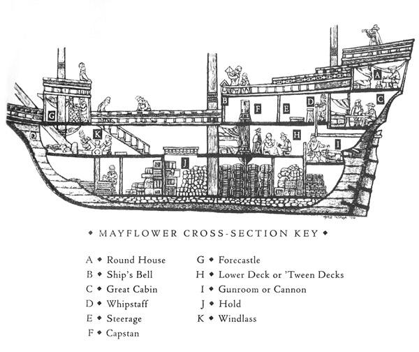 Cross section of the Mayflower